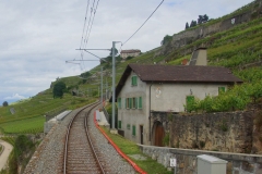 DSC02617