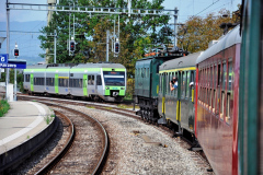 Kerzers.-Croisement-Nina-bls.-02.10.2021