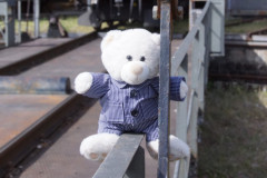 DSC09900