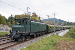 DSC03736