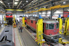 L1015630