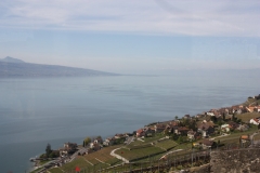20140411 (16)