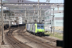 20140411 (32)