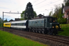 thomas_logoz