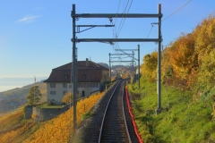 DSC00266